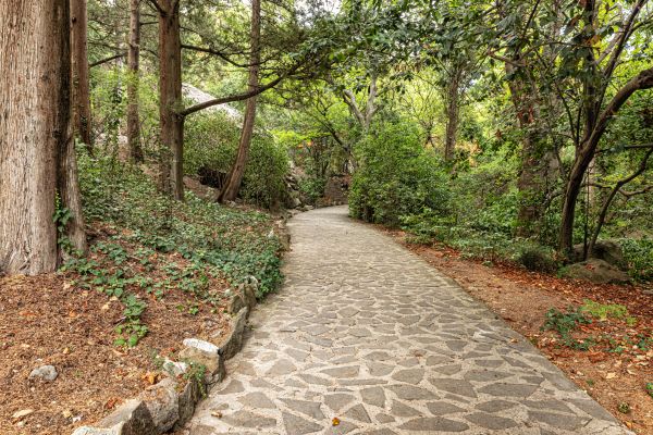 Stone Walkway Repair in Alpharetta
