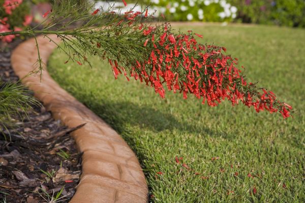 Brick Edging in Alpharetta