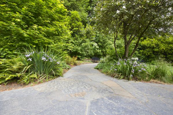 Stone Hardscape Service in Alpharetta