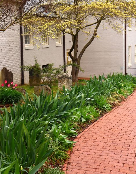 Brick Flatwork Repair in Alpharetta